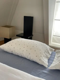 Pillow slip set